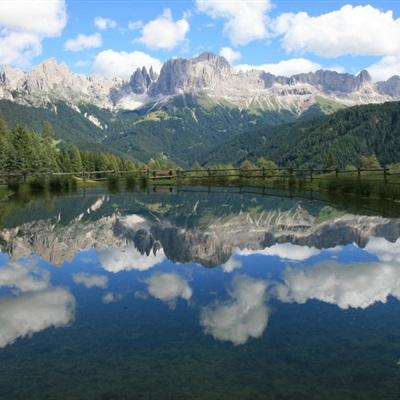 金年会娱乐app官方网站