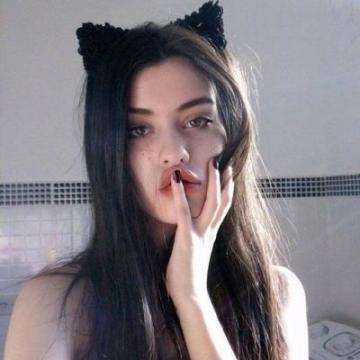 bob手机网页版登录入口